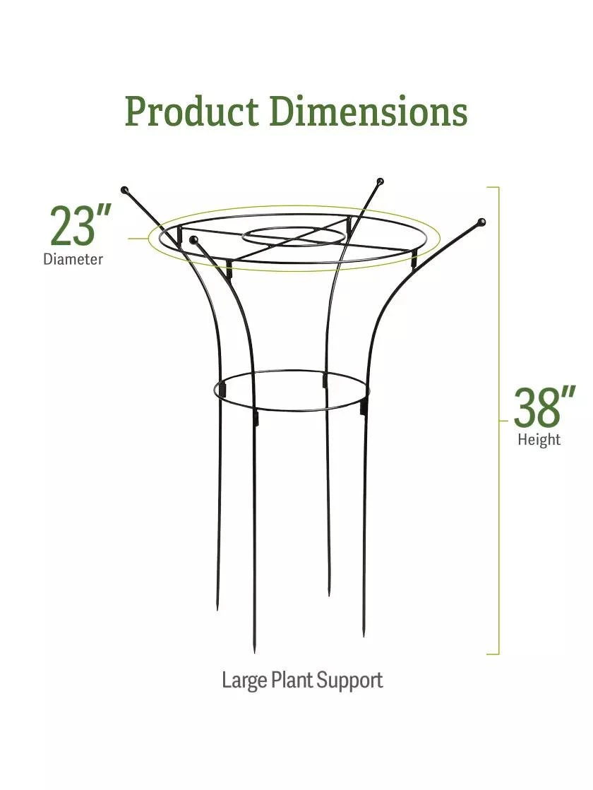 Essex Plant Supports - Image 6