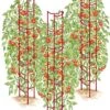 Tomato Ladders, Set Of 3
