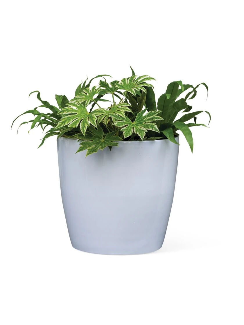 Viva Round Self-Watering Rolling Planter, 20" Diameter, Set Of 2 - Image 6