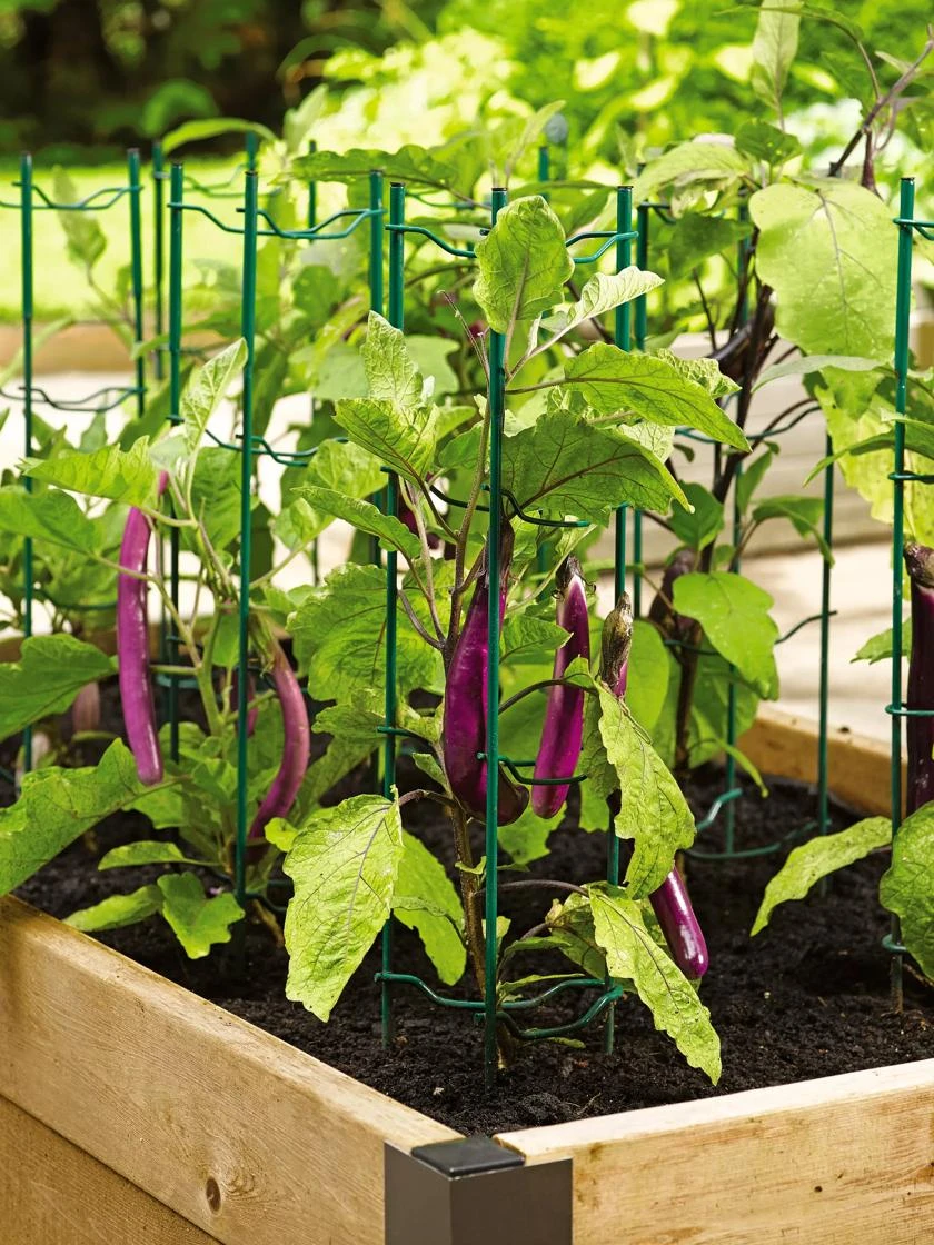 Pepper And Eggplant Stakes, Set Of 3 - Image 3