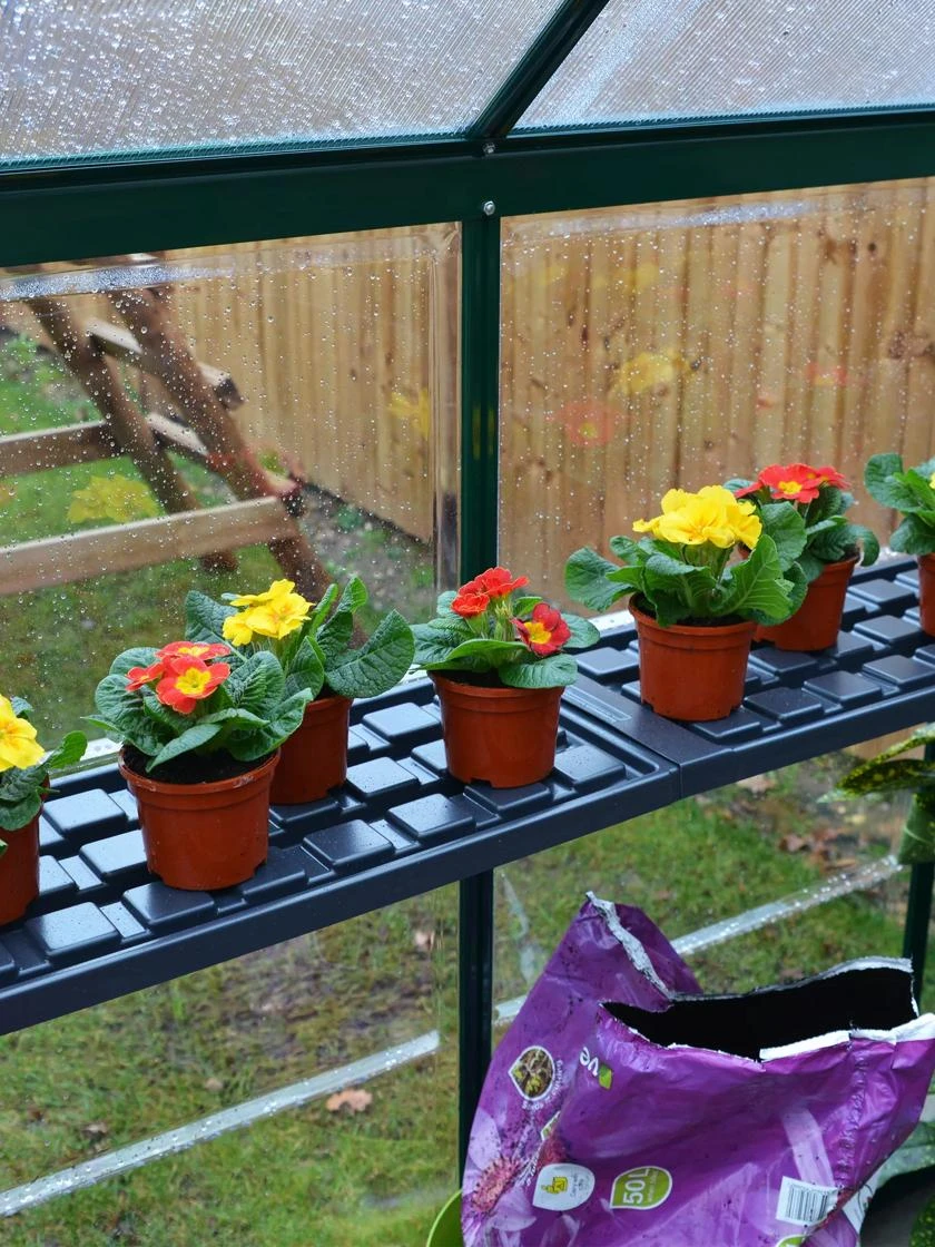 Canopia® By Palram Shelf Kit For Greenhouses, Set Of 2 Shelves - Image 6