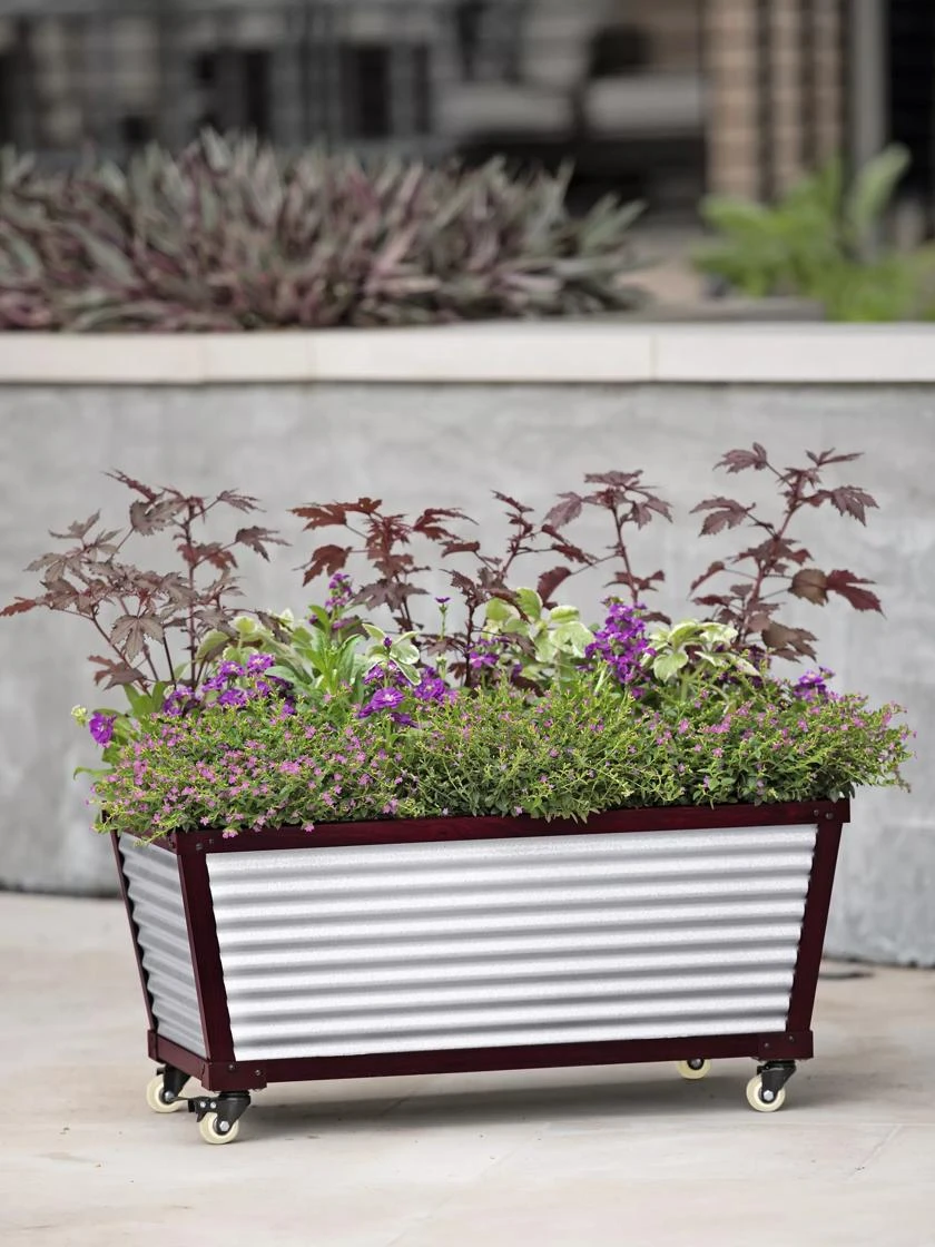 Short Galvanized Self-Watering Trough Planter