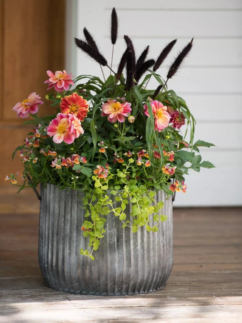 Galvanized Ribbed Planters - Image 2