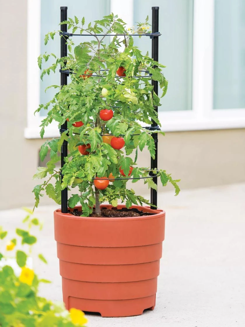 Gardener’s Victory Self-Watering Planter With Support System