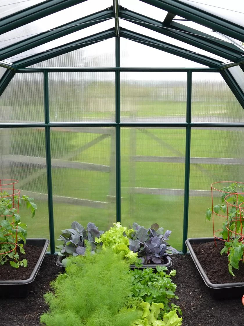 Canopia® By Palram Hobby Gardener Greenhouse, 8' - Image 7