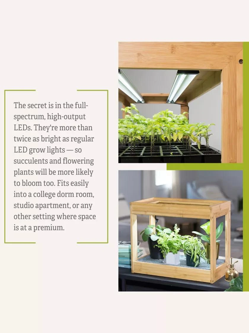 Bamboo Mini LED Grow Light Garden - Image 9