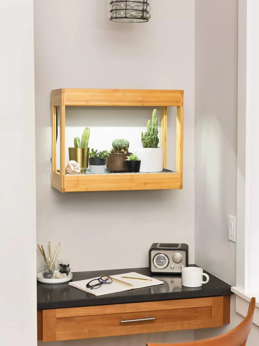 Bamboo Mini LED Grow Light Garden - Image 3