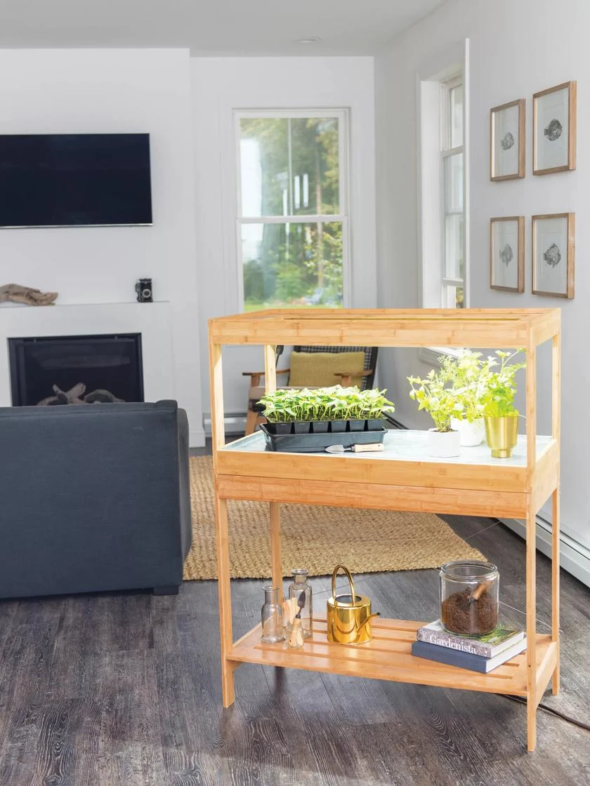 Stand For Low Bamboo Grow Light - Image 4