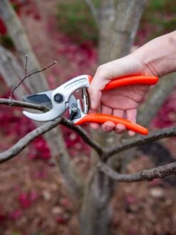 Castellari Ergonomic Anvil Pruner
