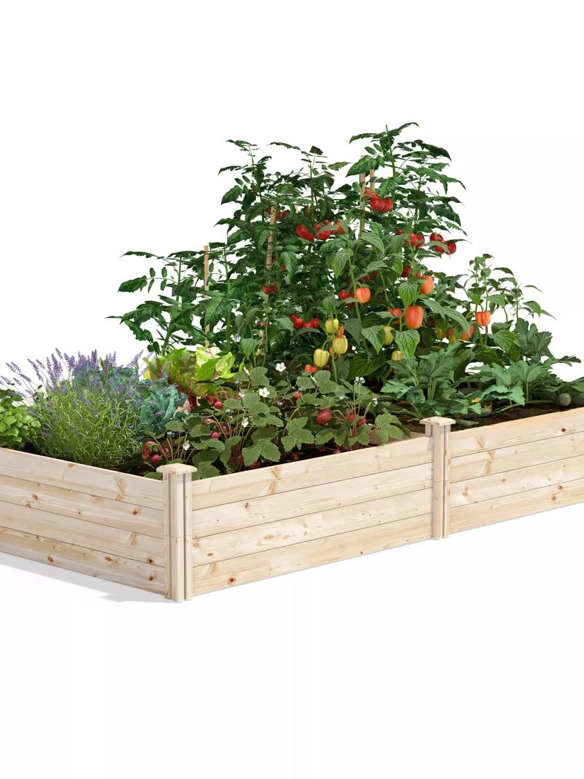 Pine Raised Garden Beds, 4'x8'
