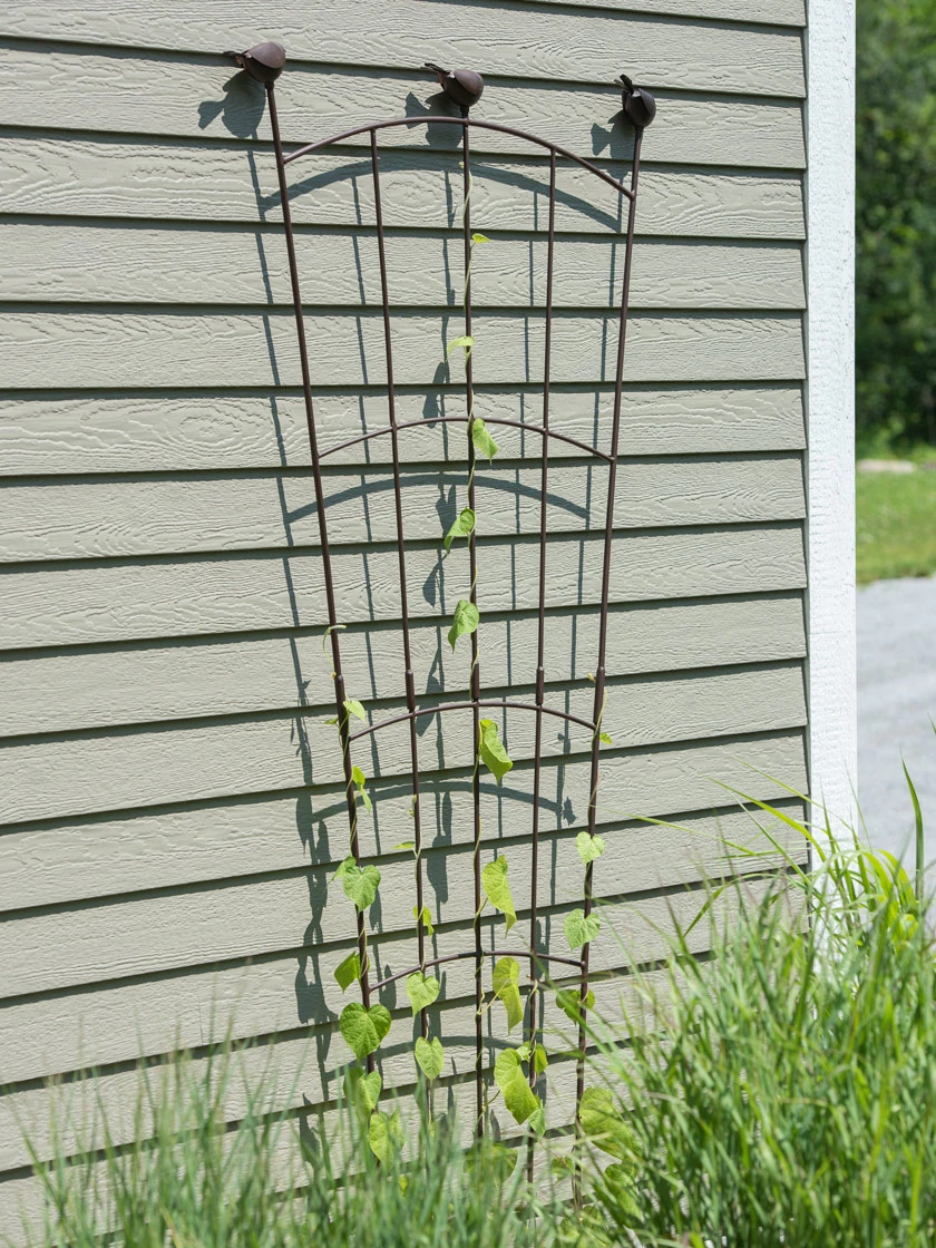 Flock Of Friends Wall Trellis - Image 4