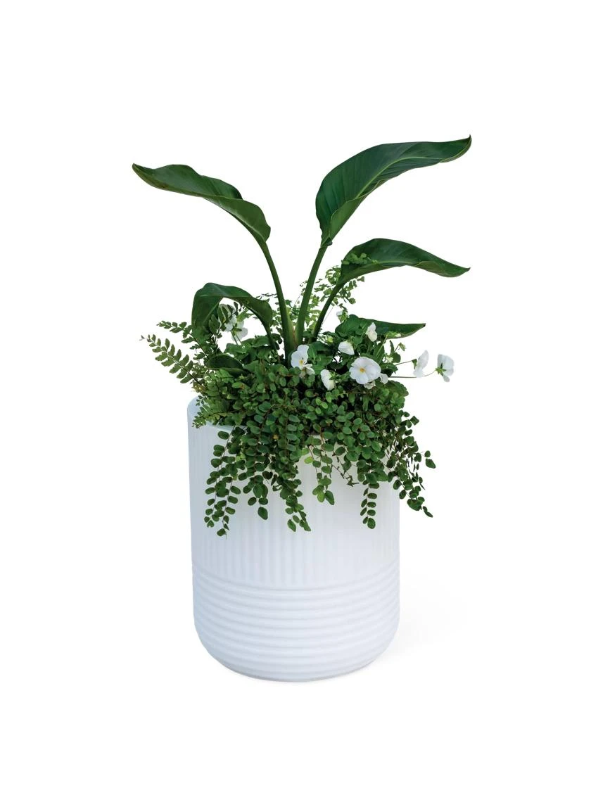 Arden Round Planter - Image 6