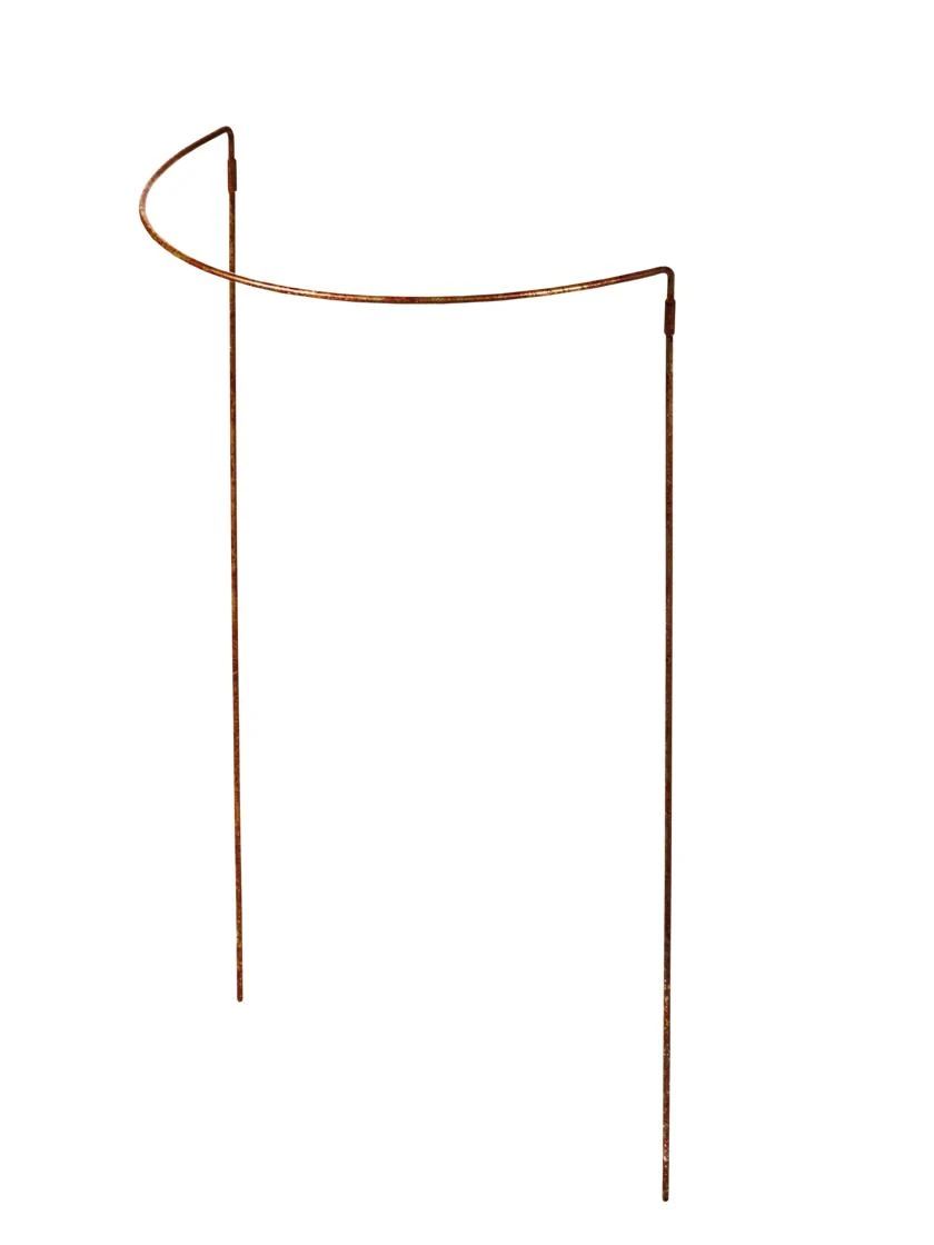 Jardin Half-Round Plant Supports, Set Of 2 - Image 2