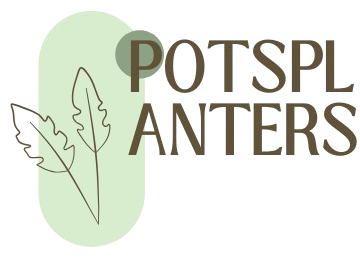 Pots and Planters Store